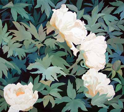 Baumpfingstrose (Paeonia)